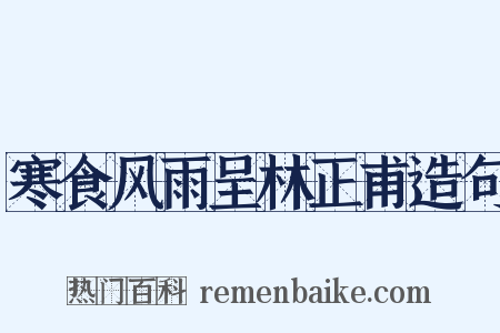 寒食风雨呈林正甫造句是什么意思的图片